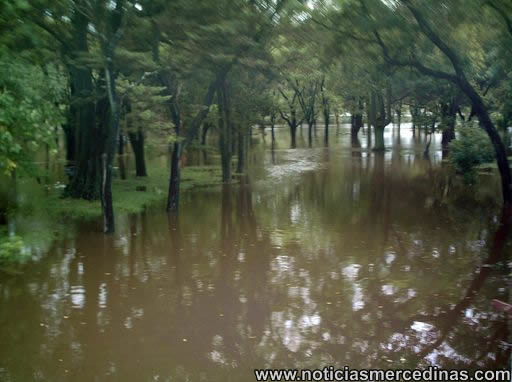 Mercedes El Paso >> Inundación y la bajante de las aguas están provocando importante desborde en el río Luján ... Mercedes El Paso >> Inundación y la bajante de las aguas están provocando importante desborde en el río Luján ...
